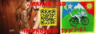 индика Рузаевка