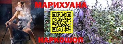индика Рузаевка