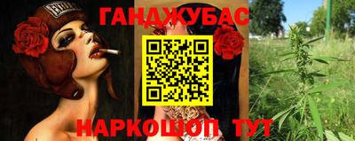 индика Рузаевка