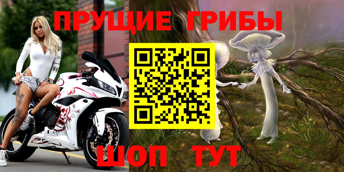 наркошоп  Вход с VPN  Орск  Галлюциногенные грибы Psilocybe  Галлюциногенные грибы GOLDEN TEACHER 